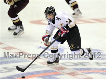 Thumbnail 2 in Iona Prep @ St. Anthony's (Islanders Nassau Coliseum Series) photogallery.
