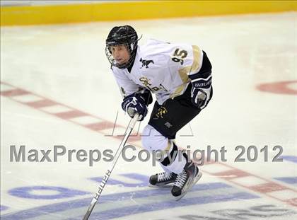 Thumbnail 1 in Iona Prep @ St. Anthony's (Islanders Nassau Coliseum Series) photogallery.