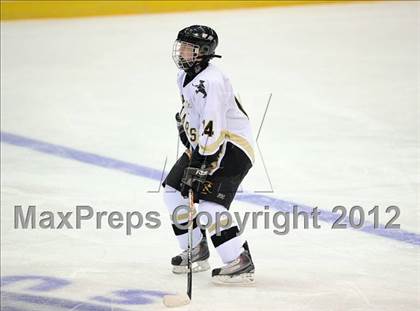 Thumbnail 3 in Iona Prep @ St. Anthony's (Islanders Nassau Coliseum Series) photogallery.
