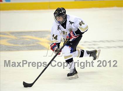 Thumbnail 2 in Iona Prep @ St. Anthony's (Islanders Nassau Coliseum Series) photogallery.