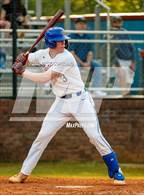 Photo from the gallery "Harrison @ Walton"