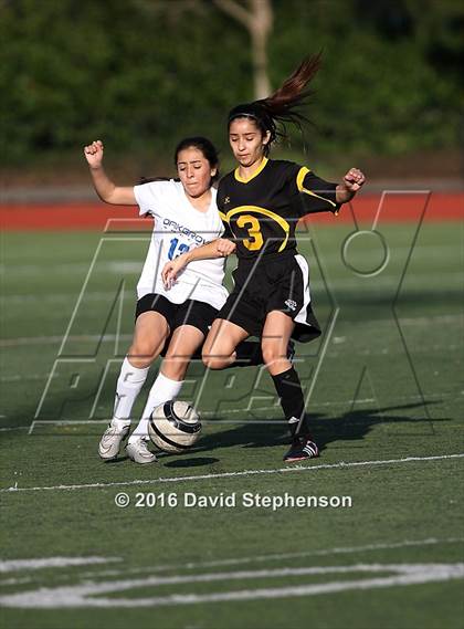 Thumbnail 3 in Hill @ Oak Grove photogallery.