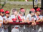 Photo from the gallery "Cathedral Catholic @ Point Loma"