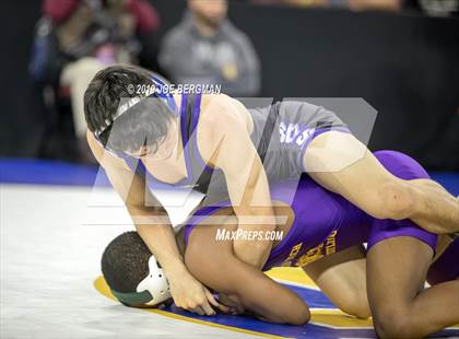Thumbnail 2 in CIF State Boys Wrestling Championships (Consolation Pig-Tail Round) photogallery.
