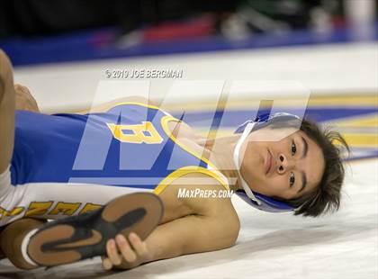 Thumbnail 3 in CIF State Boys Wrestling Championships (Consolation Pig-Tail Round) photogallery.