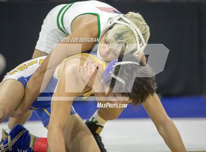 Thumbnail 1 in CIF State Boys Wrestling Championships (Consolation Pig-Tail Round) photogallery.