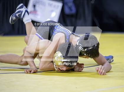 Thumbnail 1 in CIF State Boys Wrestling Championships (Consolation Pig-Tail Round) photogallery.