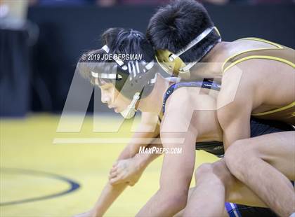 Thumbnail 1 in CIF State Boys Wrestling Championships (Consolation Pig-Tail Round) photogallery.
