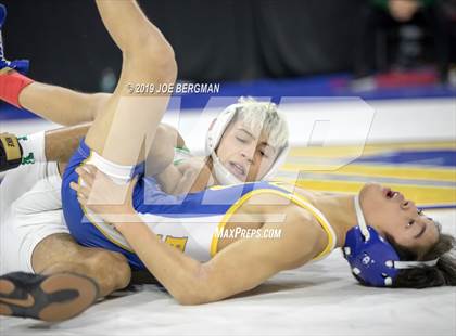 Thumbnail 1 in CIF State Boys Wrestling Championships (Consolation Pig-Tail Round) photogallery.