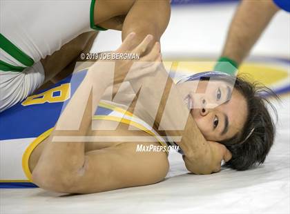 Thumbnail 3 in CIF State Boys Wrestling Championships (Consolation Pig-Tail Round) photogallery.