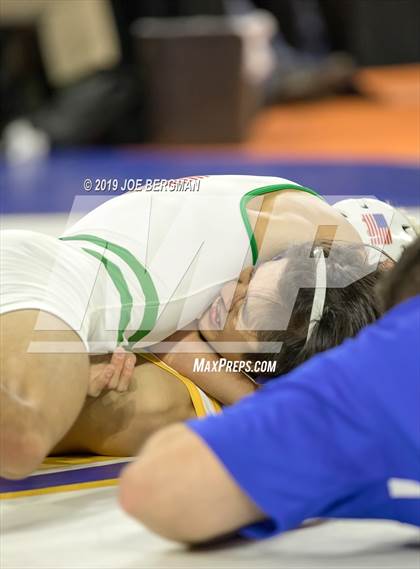 Thumbnail 1 in CIF State Boys Wrestling Championships (Consolation Pig-Tail Round) photogallery.