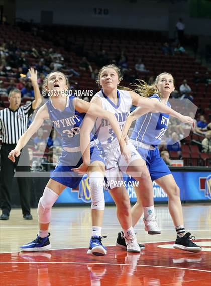 Thumbnail 1 in Wynot vs. St. Francis (NSAA Class D2 Final)  photogallery.