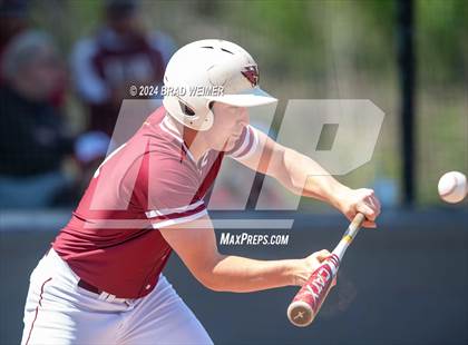 Thumbnail 1 in E.D. White @ Hahnville photogallery.