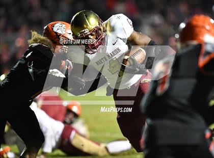 Thumbnail 3 in Zephyrhills vs. North Marion (FHSAA 5A Semifinal) photogallery.