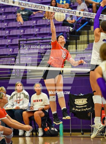 Thumbnail 3 in Gilmer @ Hallsville photogallery.