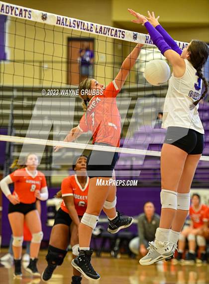 Thumbnail 1 in Gilmer @ Hallsville photogallery.