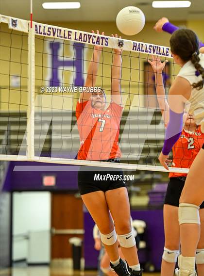 Thumbnail 1 in Gilmer @ Hallsville photogallery.