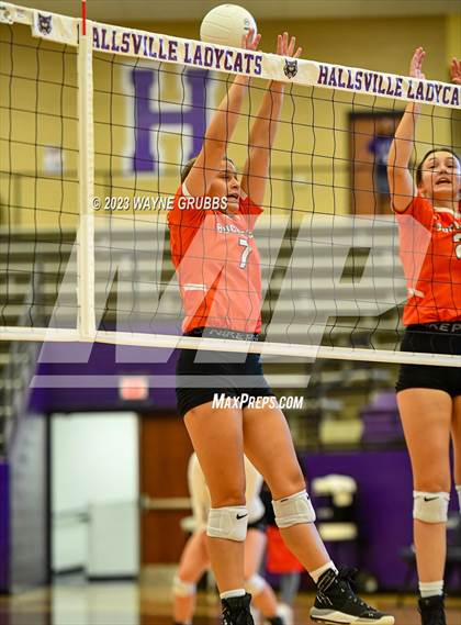 Thumbnail 3 in Gilmer @ Hallsville photogallery.