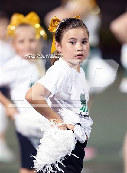 Thumbnail 2 in Cactus Shadows @ Horizon photogallery.