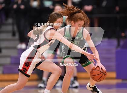 Thumbnail 1 in West Branch vs. Norton (OHSAA D2 Regional Semifinal) photogallery.
