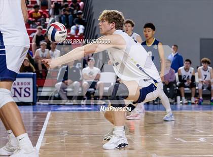 Thumbnail 2 in Littleton Public Schools vs. Legacy (CHSAA 5A Round 2) photogallery.