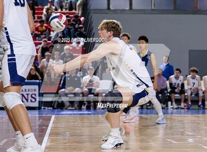 Thumbnail 3 in Littleton Public Schools vs. Legacy (CHSAA 5A Round 2) photogallery.