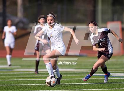 Thumbnail 3 in Archbishop Mitty vs Saint Francis photogallery.