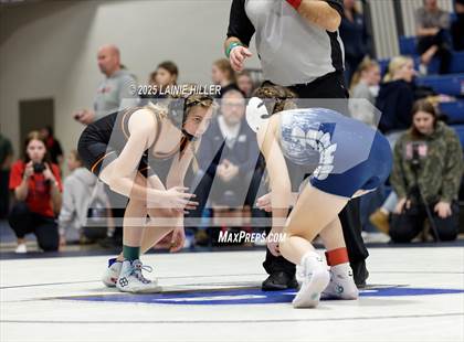 Thumbnail 2 in Blue Ox Wrestling Tournament photogallery.