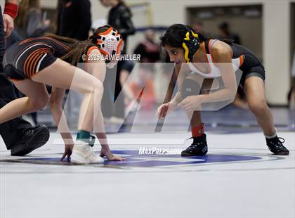 Thumbnail 3 in Blue Ox Wrestling Tournament photogallery.