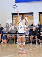 Photo from the gallery "Kamehameha Kapalama vs. Coronado (Durango Fall Classic)"