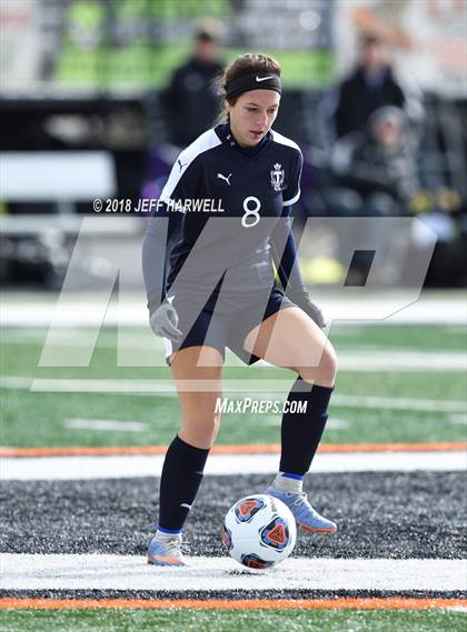 Thumbnail 2 in Twinsburg vs. Jackson (OHSAA D1 Regional Final) photogallery.