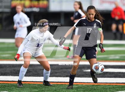 Thumbnail 1 in Twinsburg vs. Jackson (OHSAA D1 Regional Final) photogallery.