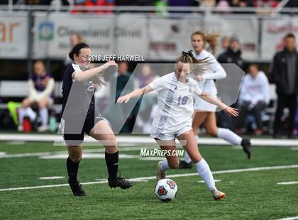 Thumbnail 3 in Twinsburg vs. Jackson (OHSAA D1 Regional Final) photogallery.