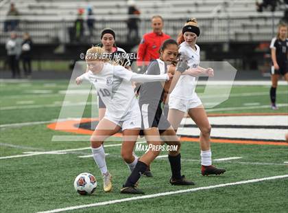 Thumbnail 3 in Twinsburg vs. Jackson (OHSAA D1 Regional Final) photogallery.