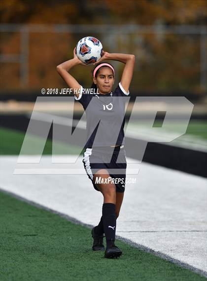 Thumbnail 1 in Twinsburg vs. Jackson (OHSAA D1 Regional Final) photogallery.