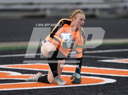 Thumbnail 3 in Twinsburg vs. Jackson (OHSAA D1 Regional Final) photogallery.