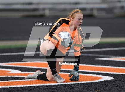 Thumbnail 3 in Twinsburg vs. Jackson (OHSAA D1 Regional Final) photogallery.