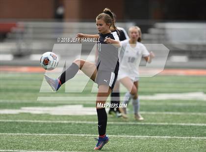 Thumbnail 3 in Twinsburg vs. Jackson (OHSAA D1 Regional Final) photogallery.