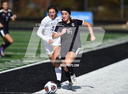 Thumbnail 2 in Twinsburg vs. Jackson (OHSAA D1 Regional Final) photogallery.