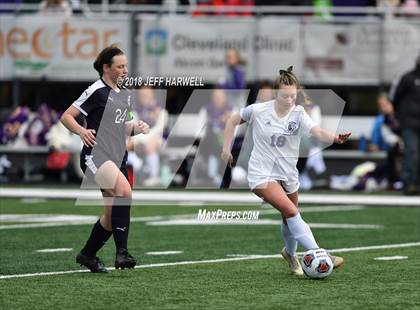 Thumbnail 1 in Twinsburg vs. Jackson (OHSAA D1 Regional Final) photogallery.