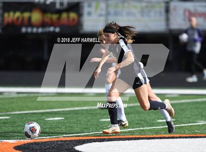 Thumbnail 2 in Twinsburg vs. Jackson (OHSAA D1 Regional Final) photogallery.