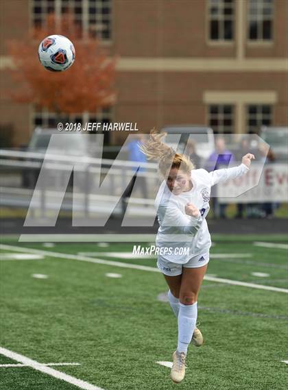 Thumbnail 1 in Twinsburg vs. Jackson (OHSAA D1 Regional Final) photogallery.