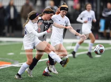 Thumbnail 3 in Twinsburg vs. Jackson (OHSAA D1 Regional Final) photogallery.