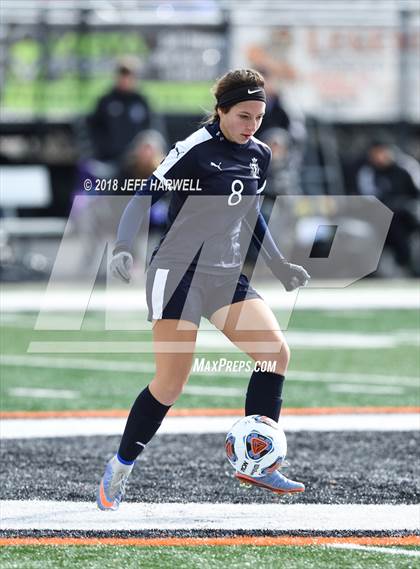 Thumbnail 2 in Twinsburg vs. Jackson (OHSAA D1 Regional Final) photogallery.