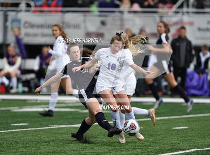 Thumbnail 3 in Twinsburg vs. Jackson (OHSAA D1 Regional Final) photogallery.