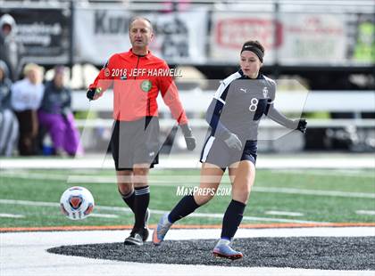 Thumbnail 3 in Twinsburg vs. Jackson (OHSAA D1 Regional Final) photogallery.
