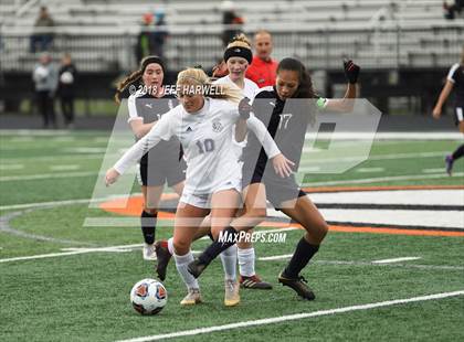 Thumbnail 1 in Twinsburg vs. Jackson (OHSAA D1 Regional Final) photogallery.