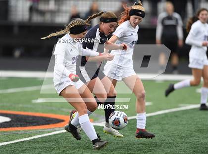 Thumbnail 3 in Twinsburg vs. Jackson (OHSAA D1 Regional Final) photogallery.