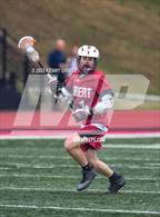 Photo from the gallery "Lambert @ Milton"