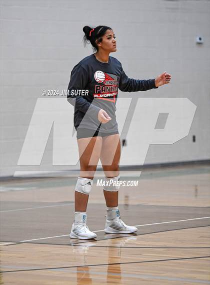 Thumbnail 2 in Round Top-Carmine vs Richards (UIL Volleyball 1A Region III Final) photogallery.